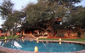 Camelthorn Kalahari